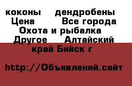 коконы    дендробены › Цена ­ 25 - Все города Охота и рыбалка » Другое   . Алтайский край,Бийск г.